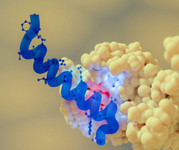 Latest updates for semaglutide: reduction of renal failure risk