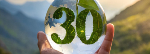 Introducing the 30/30 Carbon Reduction Initiative