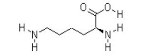 L-Lysine Hcl