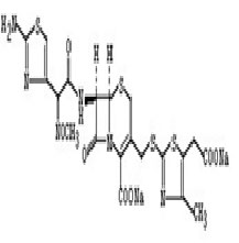 Uridine-5'-Monophosphate Disodium Salt other nucleic acid