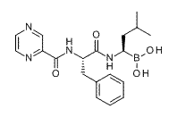 Bortezomib