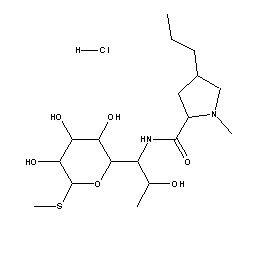 Lincomycin Hcl