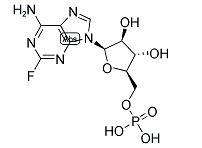 Fludarabine Phosphate