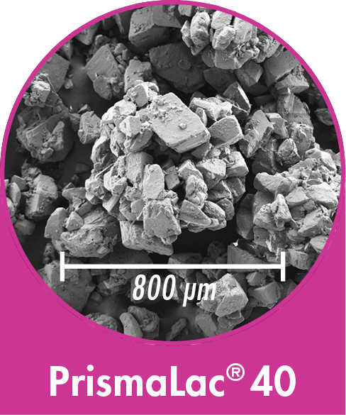 PrismaLac 40 - sieved Lactose