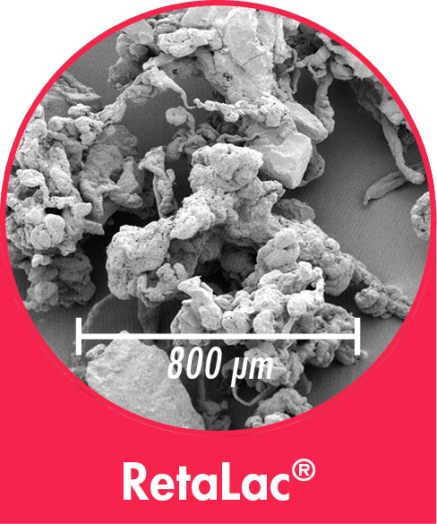 RetaLac - co-processed Excipient