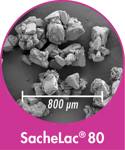 SacheLac 80 - sieved Lactose