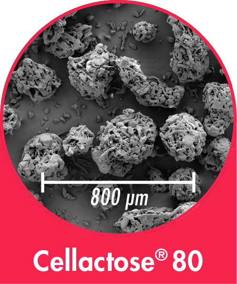 Cellactose 80 - co-processed Excipient