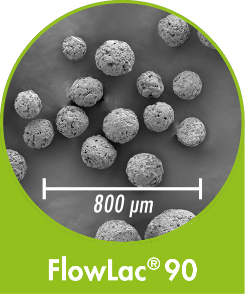 FlowLac 90 - spray-dried Lactose