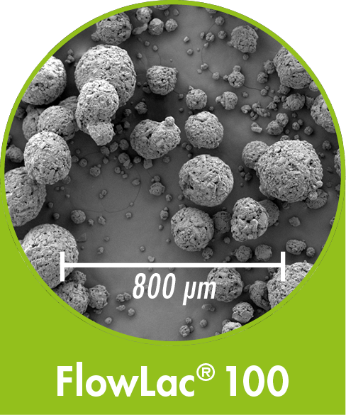 FlowLac 100 - spray-dried Lactose