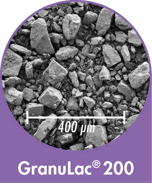 GranuLac 200 - milled Lactose