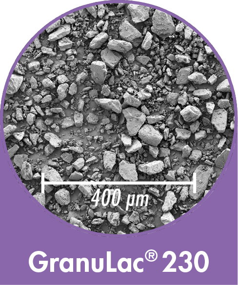 GranuLac 230 - milled Lactose