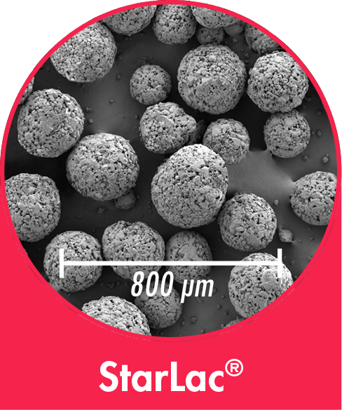 StarLac - co-processed excipient