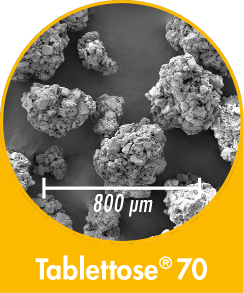 Tablettose 70 - agglomerated Lactose