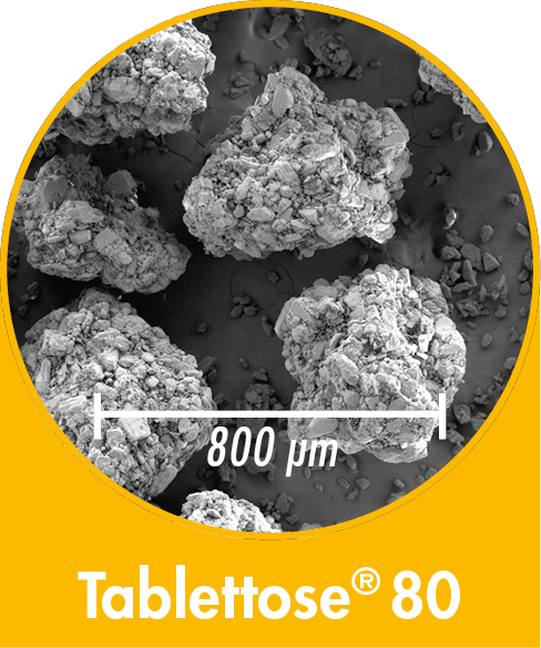 Tablettose 80 - agglomerated Lactose