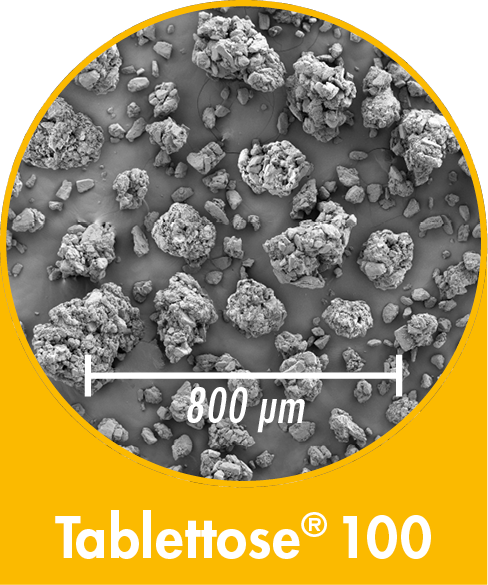 Tablettose 100 - agglomerated Lactose