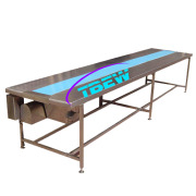 Packing conveyor belt