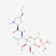 Clindamycin Phosphate