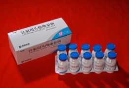 Cefodizime Sodium For Injection