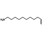 1-amino-10-undecene