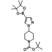 Borate fragment of Crizotinib 877399-74-1