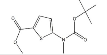 5-(tert-Butoxycarbonyl-methyl-amino)-thiophene-2-carboxylic acid methyl ester