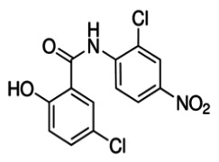 NICLOSAMIDE & SALTS