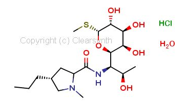 Lincomycin Hydrochloride Monohydrate