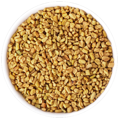 FUROCYST (Fenugreek Seed Extract)