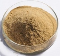 Bacillus coagulans (MBPL - BCM9)