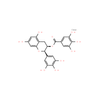 (-)-Epigallocatechin gallate