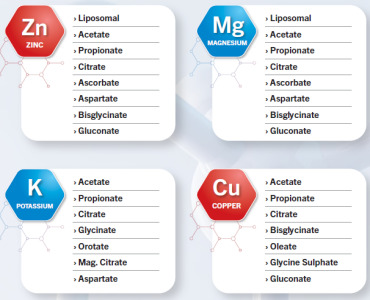 ZINC Acetate,ZINC Citrate,ZINC  Bisglycinate,ZINC Gluconate,MAGNESIUM Acetate,MAGNESIUM Citrate,MAGNESIUM Glycinate,POTASSIUM Acetate,POTASSIUM Propionate,POTASSIUM Glycinate,POTASSIUM Orotate,COPPER  Acetate,COPPER Citrate, COPPER  Glycinate