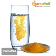 CurcuVAIL More Bio-Available Curcumin