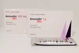 Amoxidin Plus (Amoxicillin and Clavulanic Acid)