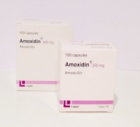 Amoxidin Caps (Amoxicillin)