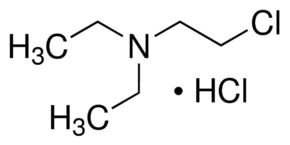 n,n- dimethyl amino ethyl chloride hydrochloride