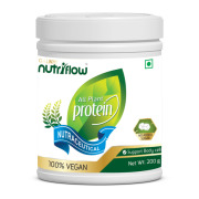 All Plant Protein Powder