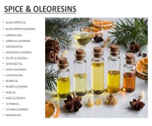 SPICE OIL & OLEORESINS