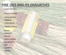 PINE OILS & ITS DERIVATIVES