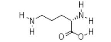 L-Ornithine Hcl