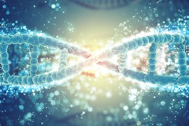 Residual DNA Testing for Cell and Gene Therapies