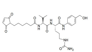 6-(2,5-dioxocyclopent-3-en-1-yl)-N-((S)-1-(((S)-1-((4-(hydroxymethyl)phenyl)amino)-1-oxo-5-ureidopentan-2- yl)amino)-3-methyl-1-oxobutan-2-yl)hexanamide