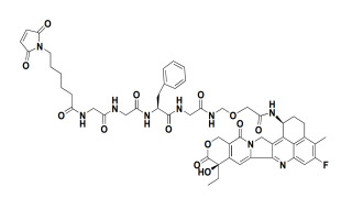 HER3 Antibody-conjugated drugs U3-1402