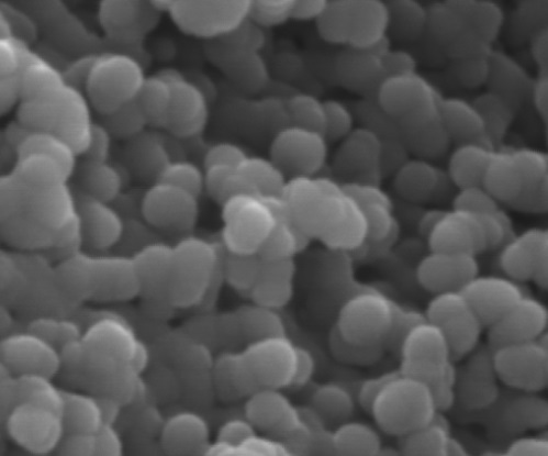 Nanoparticles