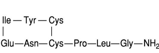 Oxytocin Acetate