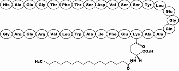 Liraglutide