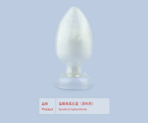 Epirubicin Hydrochloride