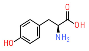 L-Tyrosine