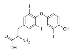 THYROID POWDER