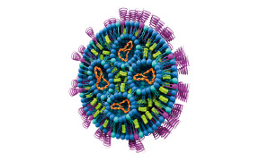 Lipid nanoparticles