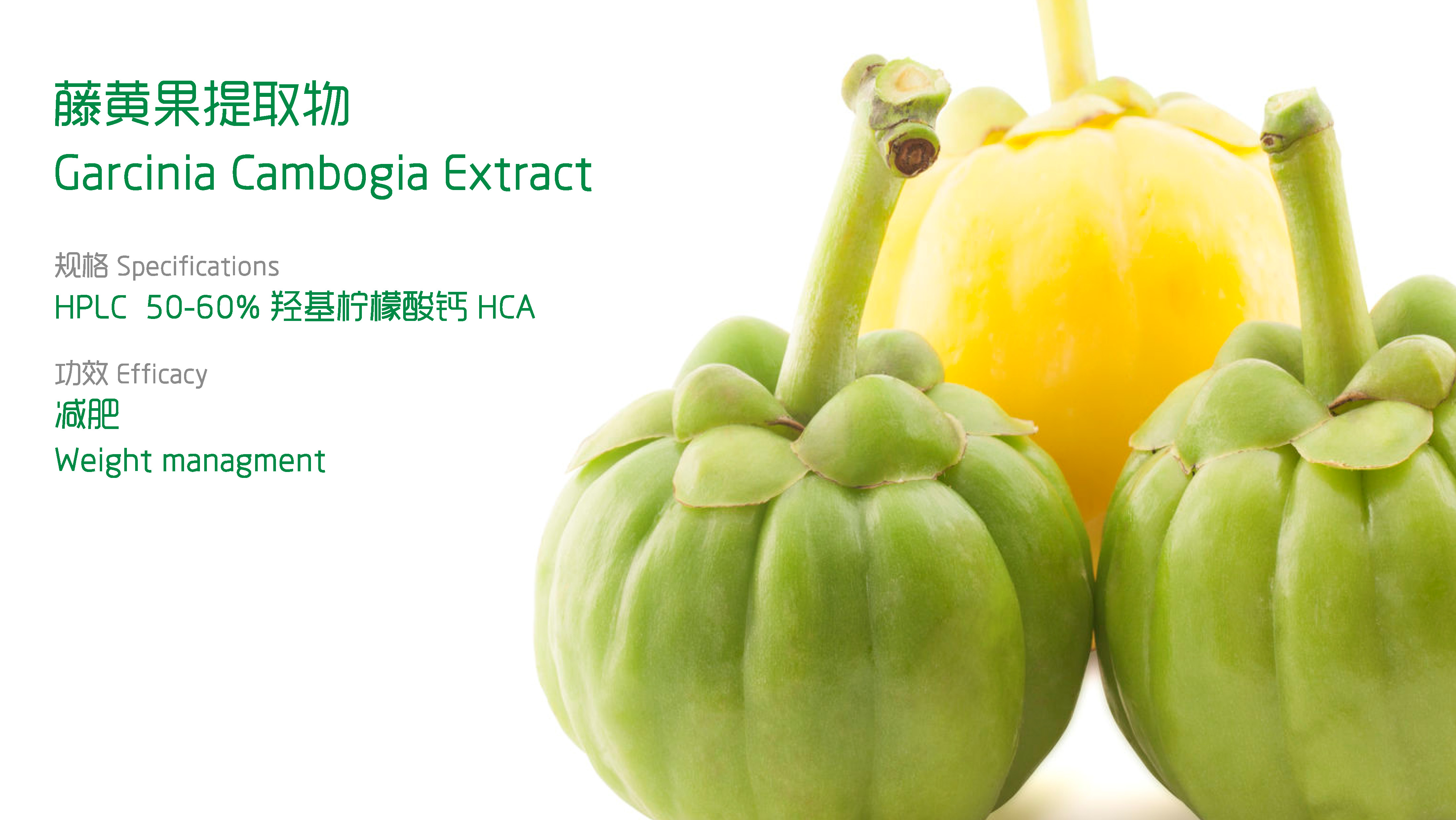 Garcinia Cambogia Extract